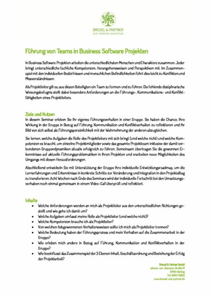 Fuehrung_von_Teams_in_Business_Software_Projekten_22-pdf-424x600  